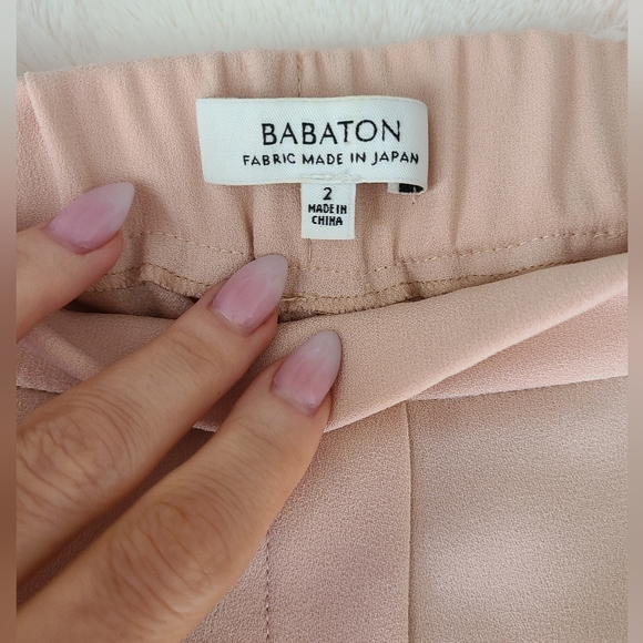 Aritzia Babaton Cohen Pants - Picture 5 of 11